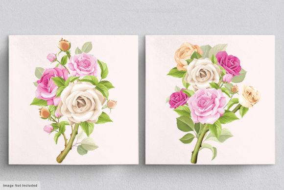 Download Beautiful Roses Hand Drawn Illustrations - Hand drawn Collection